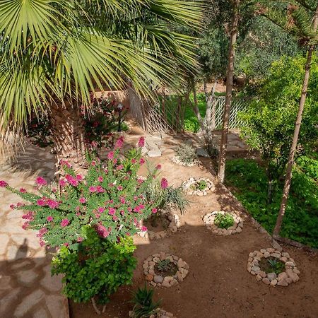 Aït Boukha Maison Nomades المظهر الخارجي الصورة