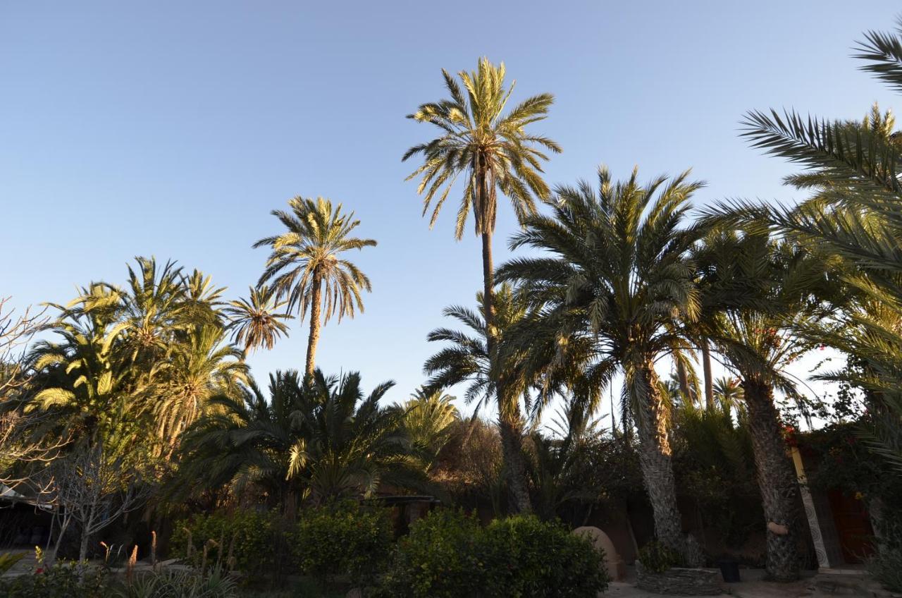 Aït Boukha Maison Nomades المظهر الخارجي الصورة