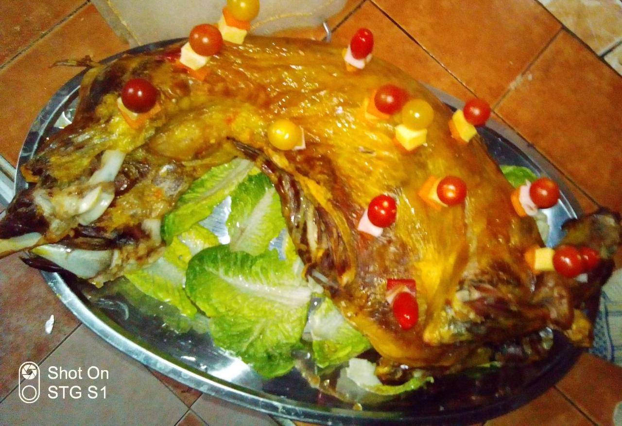Aït Boukha Maison Nomades المظهر الخارجي الصورة