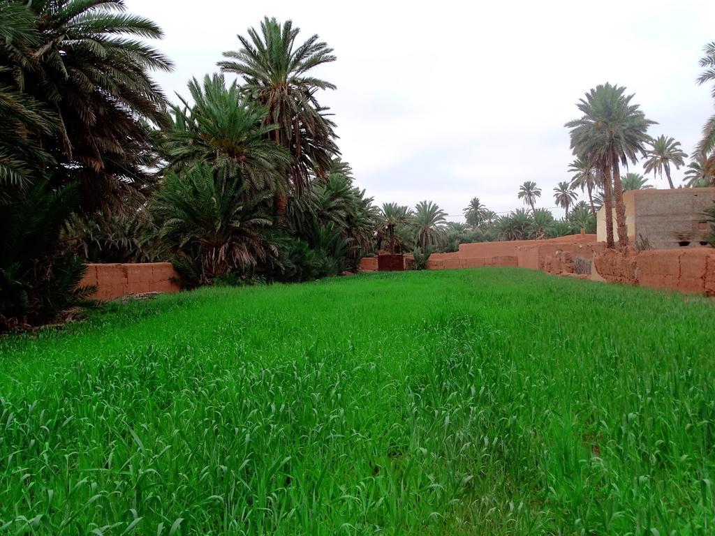 Aït Boukha Maison Nomades المظهر الخارجي الصورة